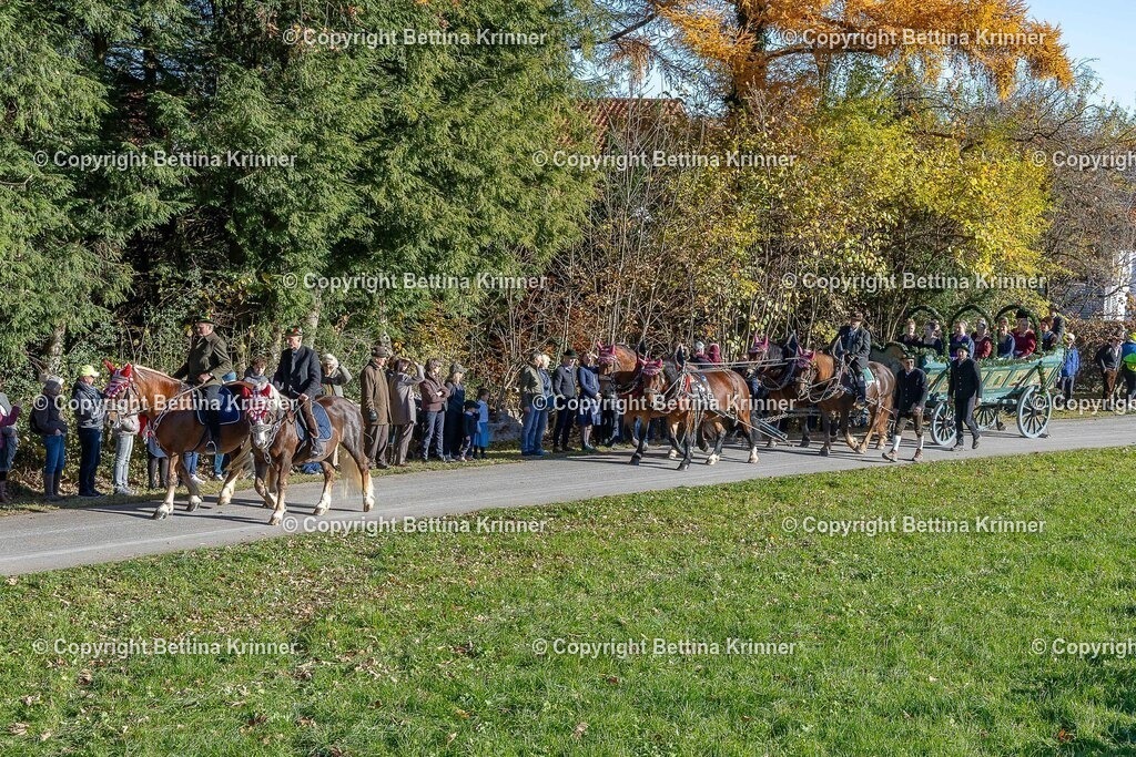 LBT25-116 | foto-bettina-krinner - Realisiert mit Pictrs.com