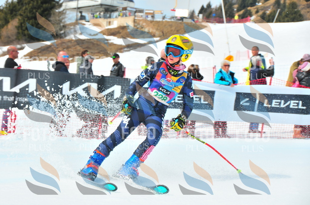 DSC_2117 | holidayphoto