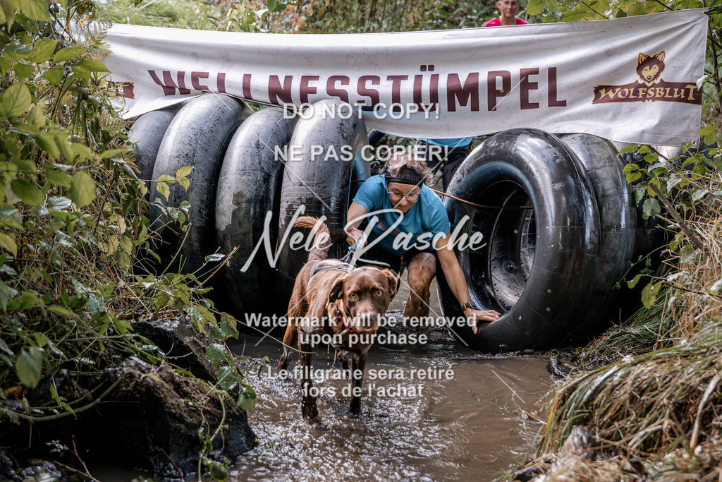 nelerasche_Hunsrück2026_Sa1400-1500_99 | nelerasche