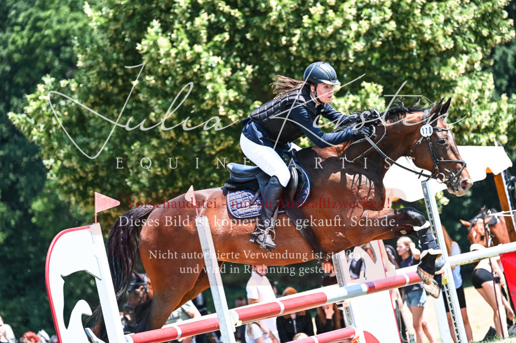 DSC_9967 | Pferde- und Turnierfotografie in Westsachsen. Pferdeportraits, Auftragszeichnungen und intuitive Kunst.