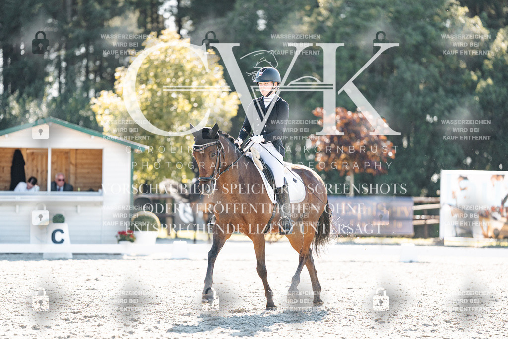 CK906244 | Turnierfotografie Pferdefotografie Trier Rheinland-Pfalz Pferdesport Reitsport Tierfotografie Sportfotografie Pferdevideo Pferdevideografie Equestrianvideography equestrianphotography  - Realisiert mit Pictrs.com