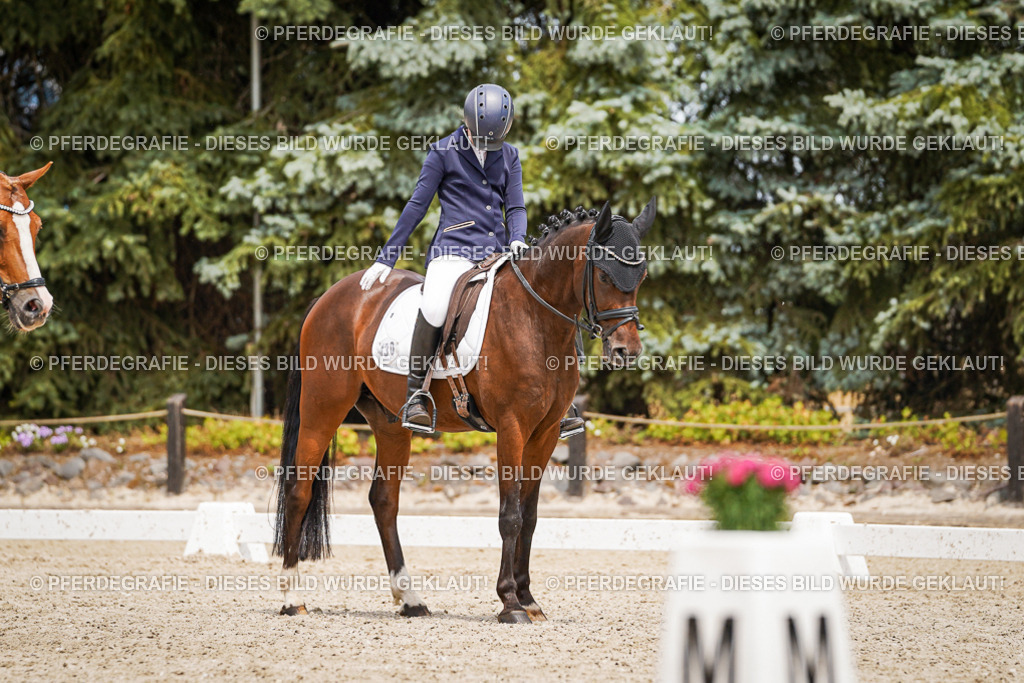 DSC04200 | Pferdegrafie