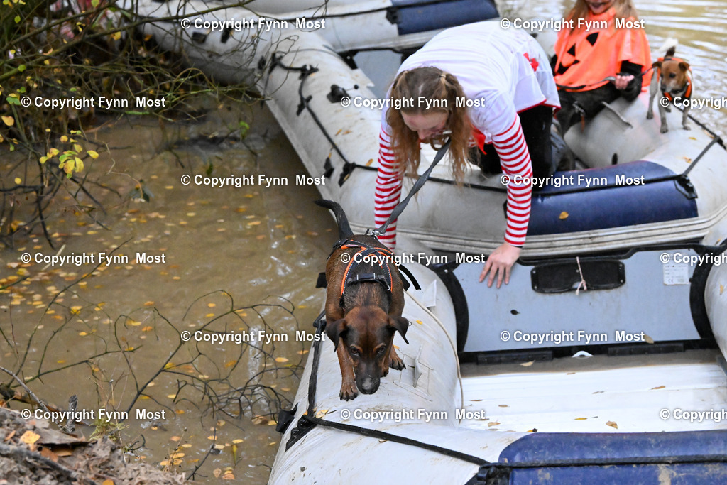 DSC_6990 | Hallo und herzlich Willkommen auf meiner Shop-Seite Fynn Most.

Ich wünsche Dir viel Spaß beim stöbern durch die Bilder, wenn Du Fragen hast oder Bilder vermisst, kannst du mir gerne eine Nachricht schreiben. - Realisiert mit Pictrs.com