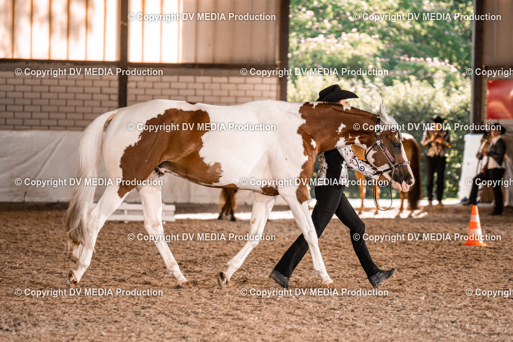 ZH100179 | dv-media-shop - Realisiert mit Pictrs.com