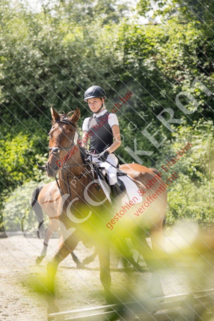 IMG_4626 | Sport-, Event- und Tierfotos in Profiqualität. Einfach auswählen, bestellen und herunterladen. Dein Moment – perfekt festgehalten.