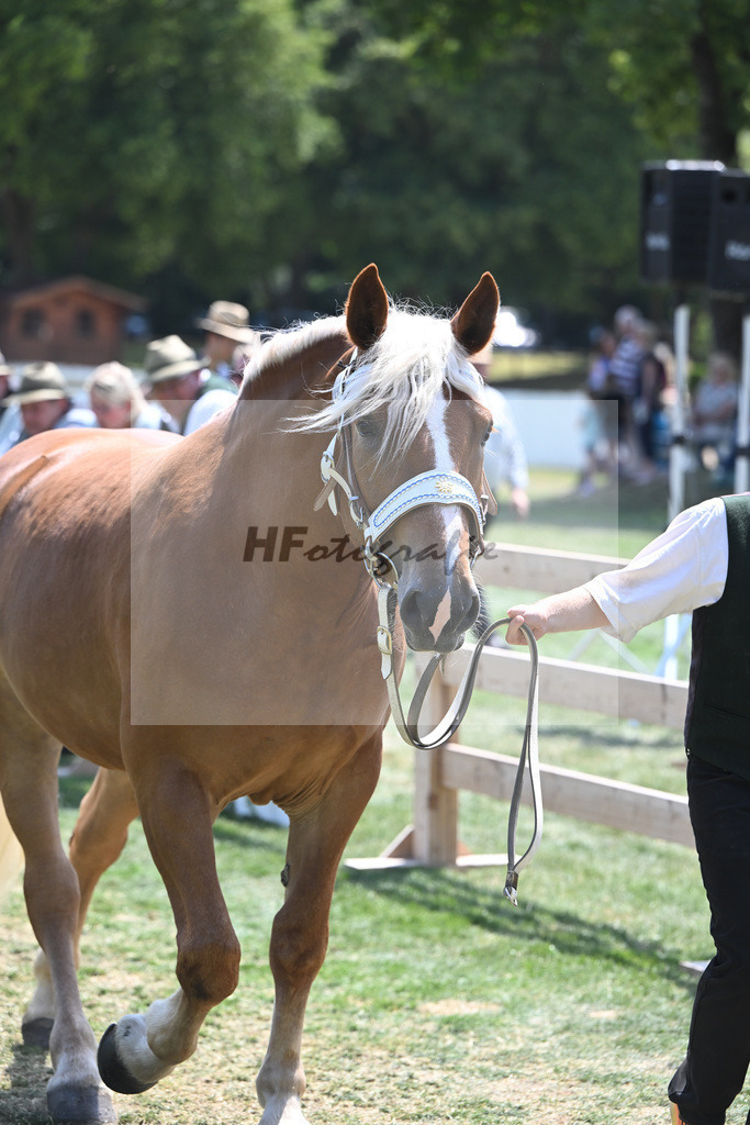 Kat-Nr. 58 Kenia_Schroeder_20230927 | hf-fotografie - Realisiert mit Pictrs.com