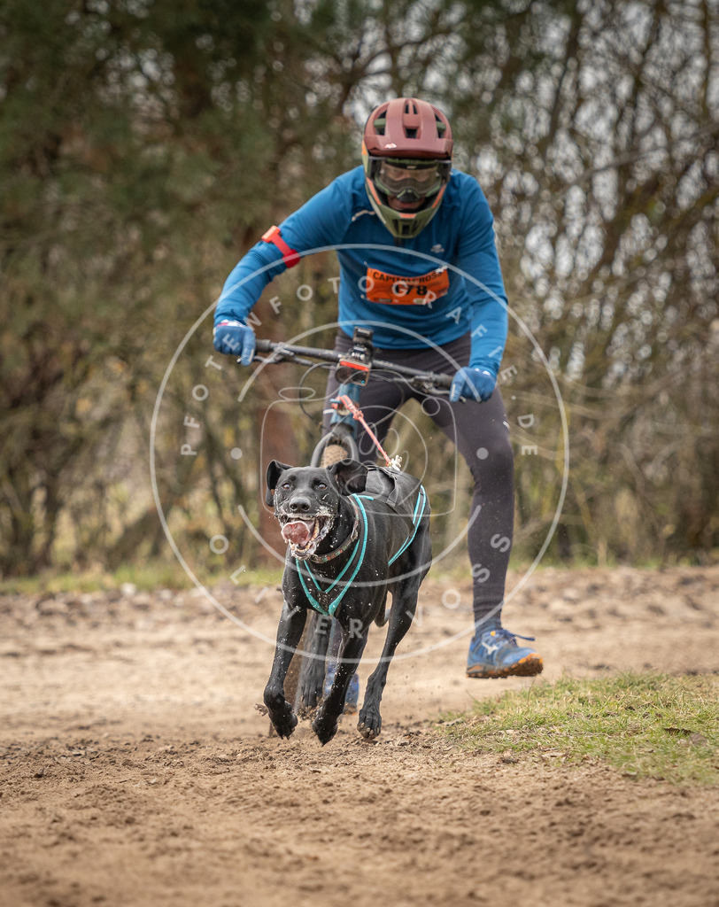 Pfotenfotografie_DV3A9527 | Hundefotografie, Tierfotograf, Pfotenfotografie, Fotoshooting Hund, Hunde Portrait, Hundesport, Hundeportraits, Heideshooting, Hunde, Sportfotograf, Hundefotograf, Turnierhundsport, THS,  - Realisiert mit Pictrs.com