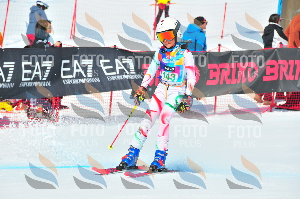 DSC_1207 | holidayphoto