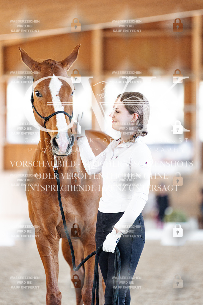 CK906960 | Turnierfotografie Pferdefotografie Trier Rheinland-Pfalz Pferdesport Reitsport Tierfotografie Sportfotografie Pferdevideo Pferdevideografie Equestrianvideography equestrianphotography  - Realisiert mit Pictrs.com