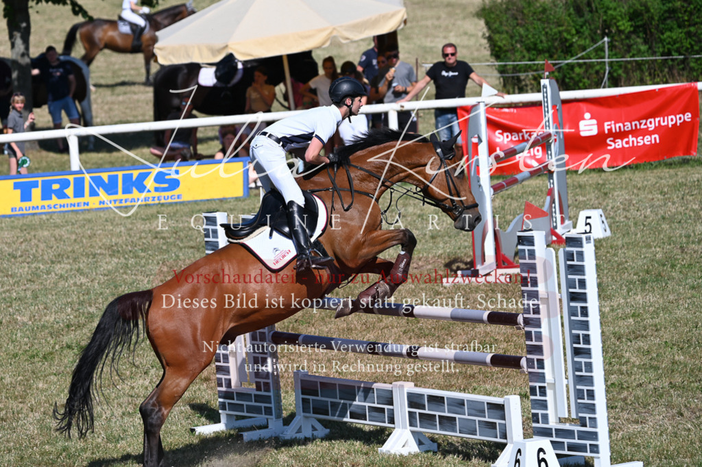 DSC_1925 | Pferde- und Turnierfotografie in Westsachsen. Pferdeportraits, Auftragszeichnungen und intuitive Kunst.