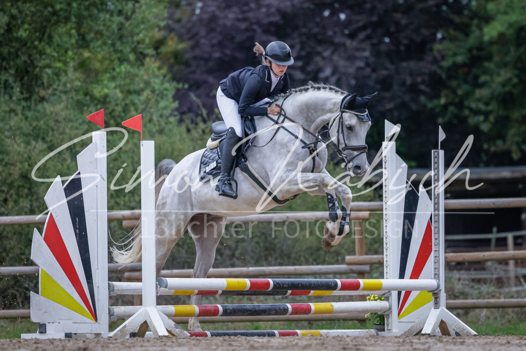 20251012-_3LI2724 | Tierfotografie Pferde, Hunde, Katzen, Haustiere.
Turnierfotografie Reitturniere, Reiten, Springreiten, Dressur in Hanau, dem Main-Kinzig-Kreis und dem Rhein-Main- Gebiet um Frankfurt
