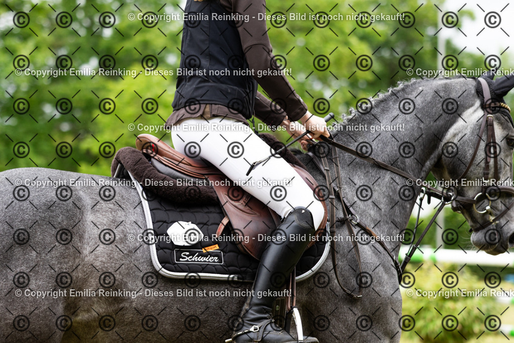 CL5A5373 | Emilia Reinking Fotografie - Realisiert mit Pictrs.com