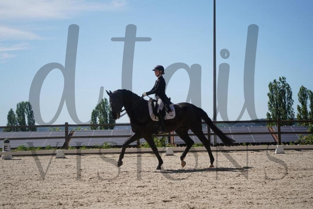 tgbhsonntag (1643) | d.tail Visions - Shop - Realisiert mit Pictrs.com