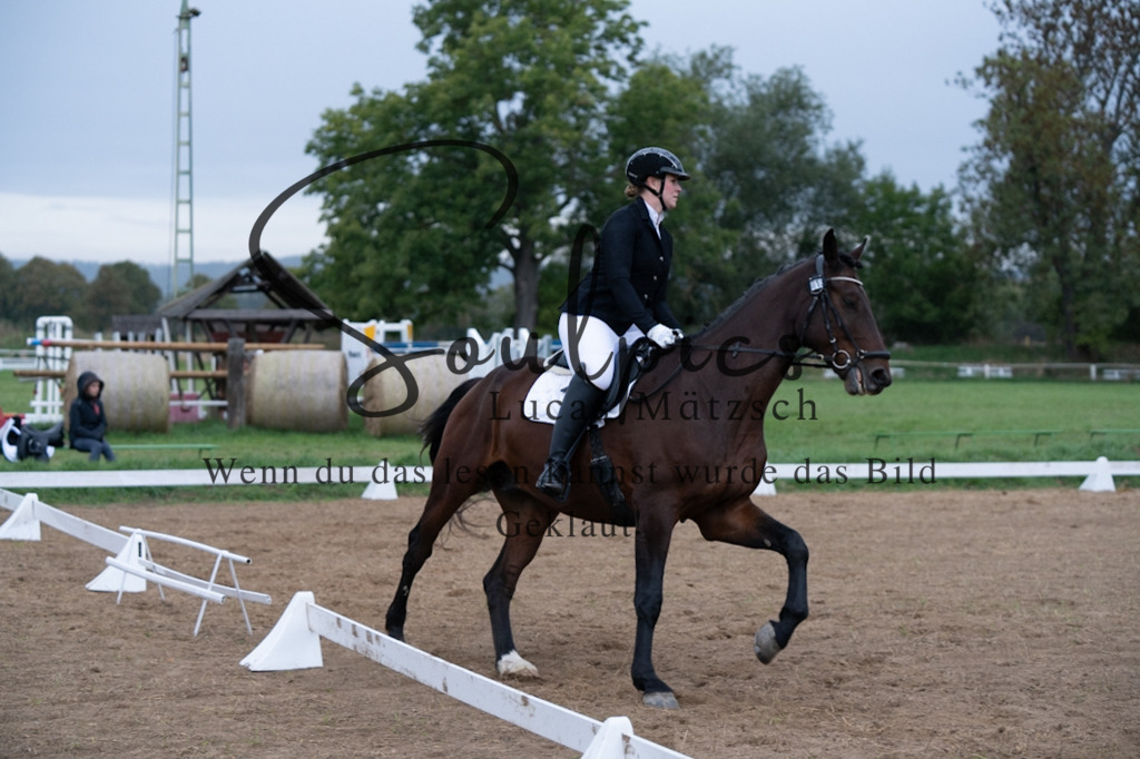 A7V04894 | Pferdefotograf