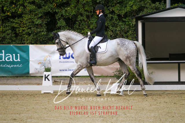 DKP41315 | Turniersportfotografie; Pferdefotografie; Dressurfotografie