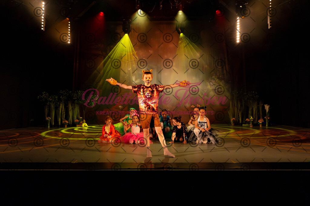 Ballettaufführung-448 | Bildershop Lem'n Entertainment - Realisiert mit Pictrs.com