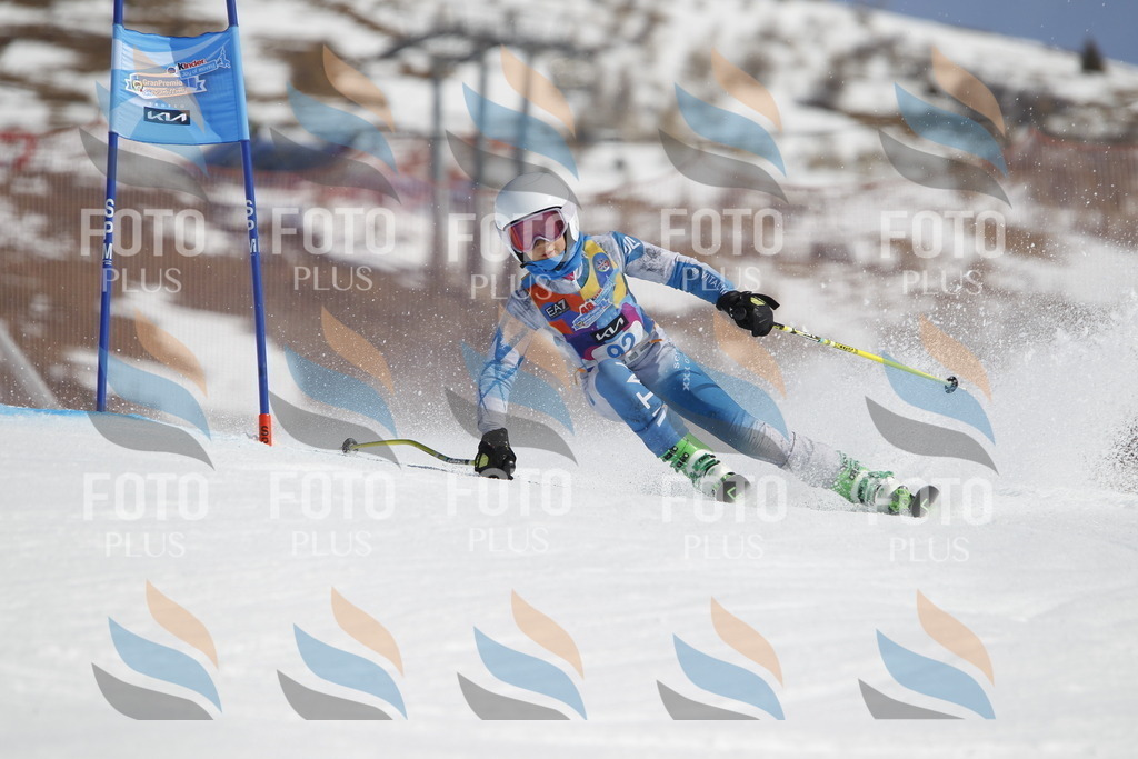 _U3G0191 | holidayphoto