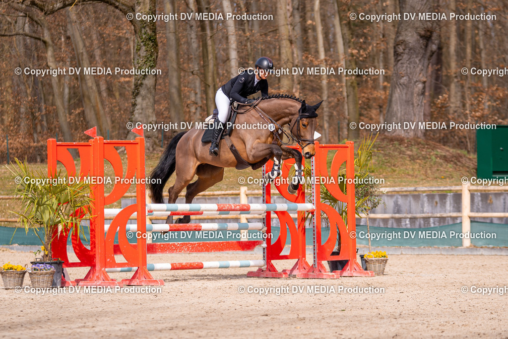 Kranichstein Tag 1-649 | dv-media-shop - Realisiert mit Pictrs.com