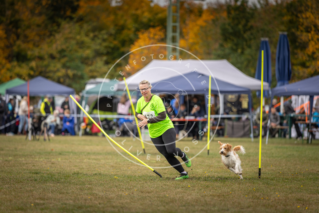 Pfotenfotografie_DV3A5911 | Hundefotografie, Tierfotograf, Pfotenfotografie, Fotoshooting Hund, Hunde Portrait, Hundesport, Hundeportraits, Heideshooting, Hunde, Sportfotograf, Hundefotograf, Turnierhundsport, THS,  - Realisiert mit Pictrs.com