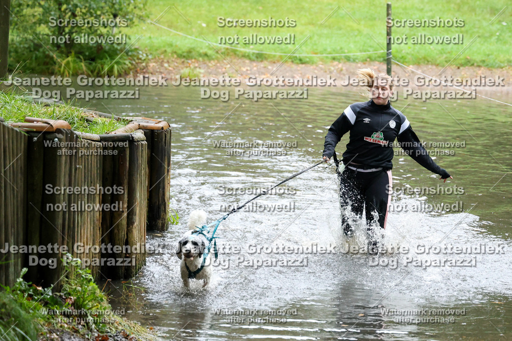 Dog Paparazzi -  SD1026-8335 | Dog Paparazzi Jeanette Grottendiek Fotografie & Videografie - Realisiert mit Pictrs.com