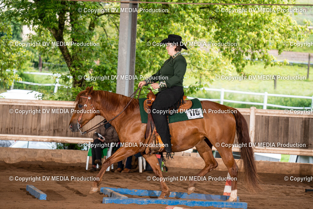 Erbach Tag 1-114 | dv-media-shop - Realisiert mit Pictrs.com