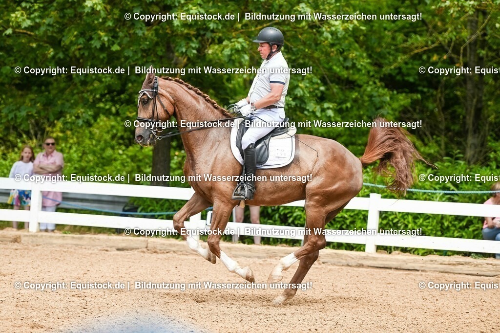 20230716_01_Dressurprüfung Kl.M_0100 | equistock