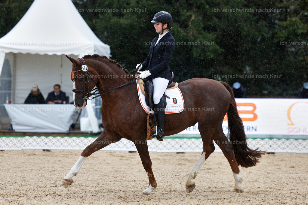 05-002-DRESSUR M_  -StoibPH-4891 | working equitationturnier fotograf videograf stoibphotography marixx film working equitation deutschland reitsport turnierfotografie eventfotografie equestrian events