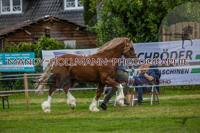 3_MG_3636 (3718) | mandyhollmannphotographie