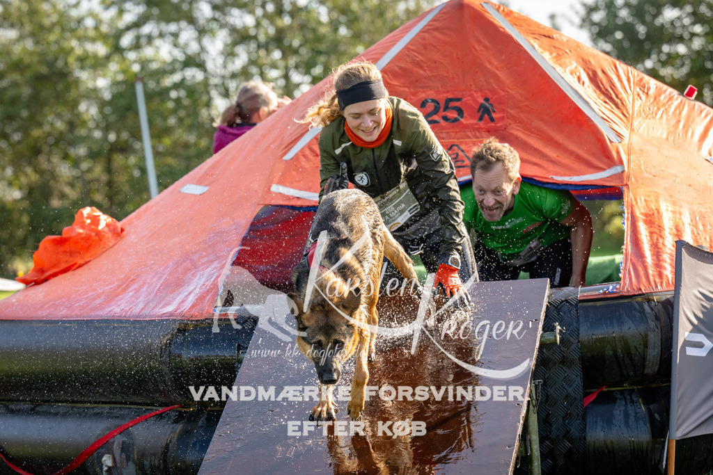 1115-91945 | kk-dogfotos