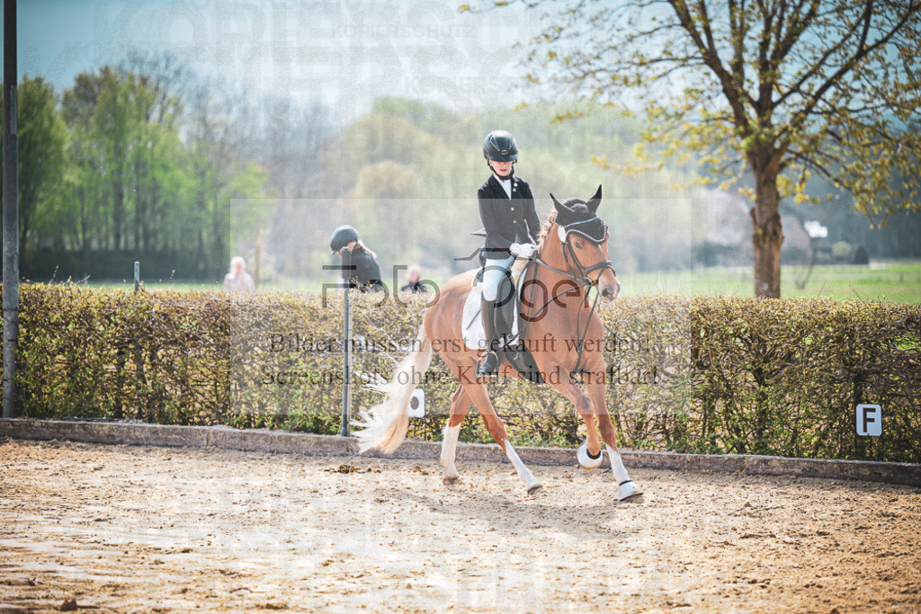 DOS_6332 | Entdecke hochwertige Reitturnierfotos von Foto Oger. Professionell, emotional und authentisch – jetzt Lieblingsmomente im Shop bestellen.Deutschlandweite Turnierfotografie. - Realisiert mit Pictrs.com