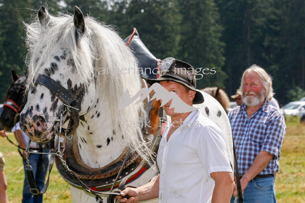 15082015-fb-6272 | Leistungsziehen in Poschetsried 2015
