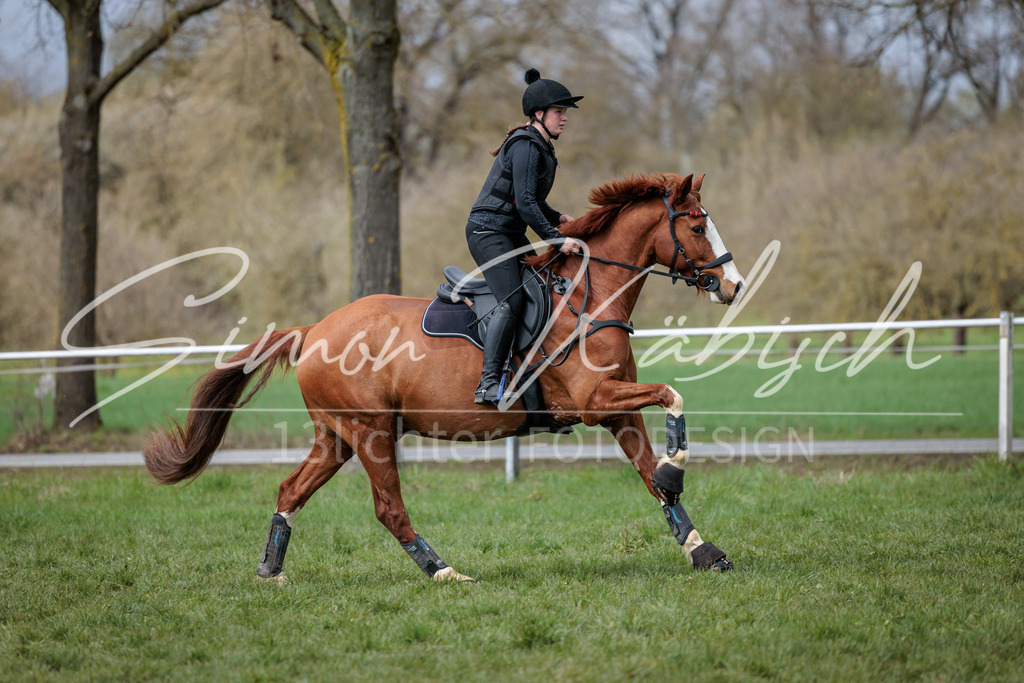 20260329-_3LI5175 | Tierfotografie Pferde, Hunde, Katzen, Haustiere.
Turnierfotografie Reitturniere, Reiten, Springreiten, Dressur in Hanau, dem Main-Kinzig-Kreis und dem Rhein-Main- Gebiet um Frankfurt