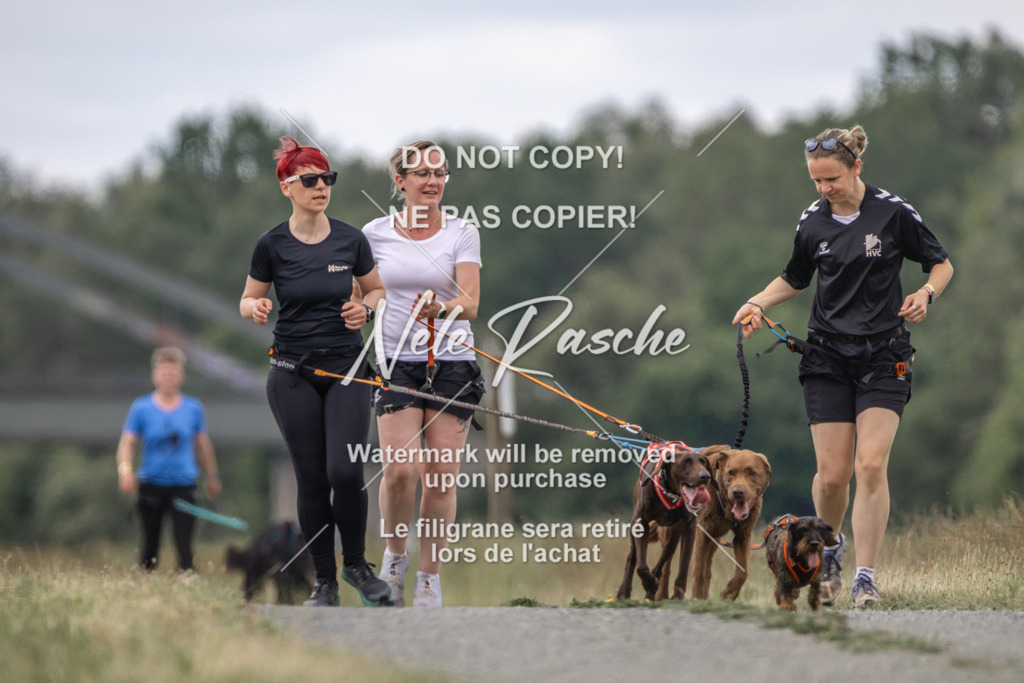 nelerasche_BuHu2026_SaCC1100-1200_229 | nelerasche