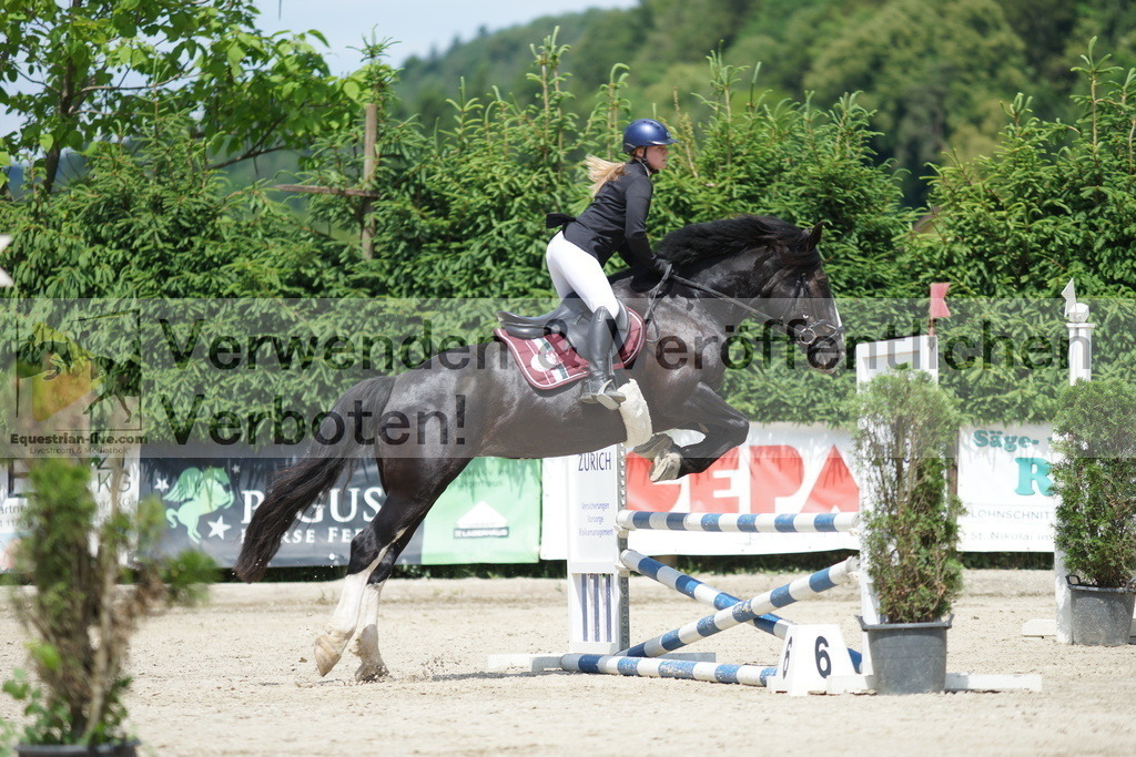 DSC06376 | equestrian-live-com