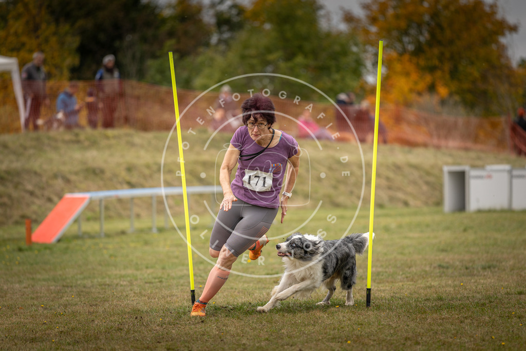 Pfotenfotografie_DV3A5966 | Hundefotografie, Tierfotograf, Pfotenfotografie, Fotoshooting Hund, Hunde Portrait, Hundesport, Hundeportraits, Heideshooting, Hunde, Sportfotograf, Hundefotograf, Turnierhundsport, THS,  - Realisiert mit Pictrs.com