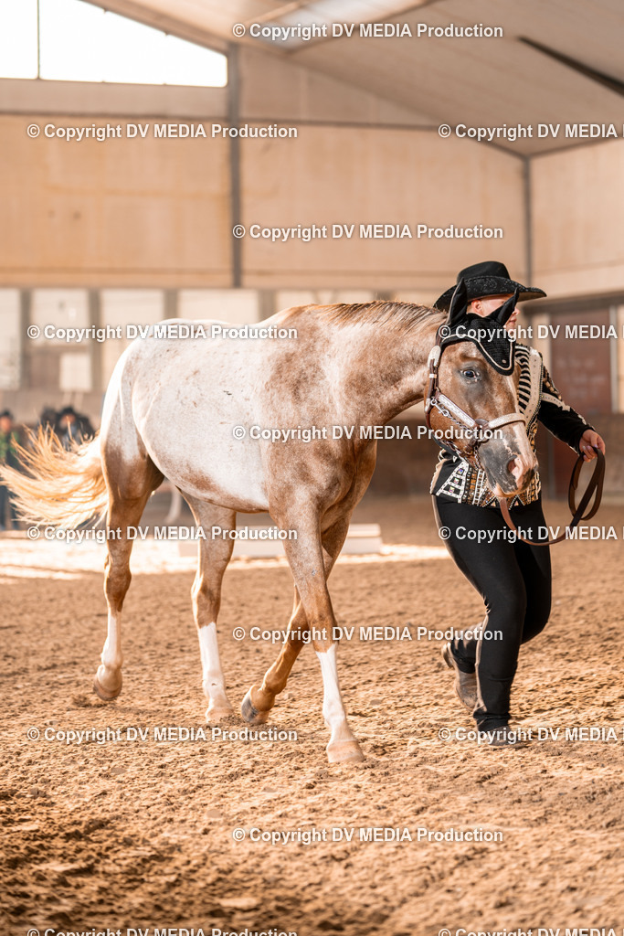 LM Heiligenwald Tag 1-46 | dv-media-shop - Realisiert mit Pictrs.com