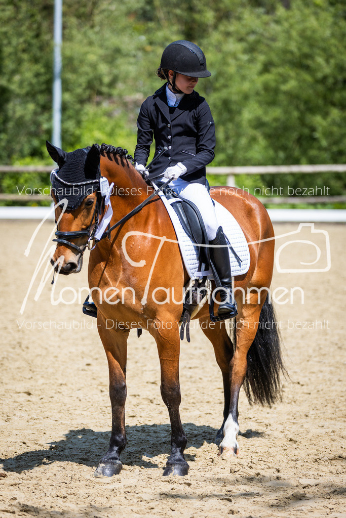 Donop24-RWB-025 | MomenTaufnahmen Pferdesportfotos