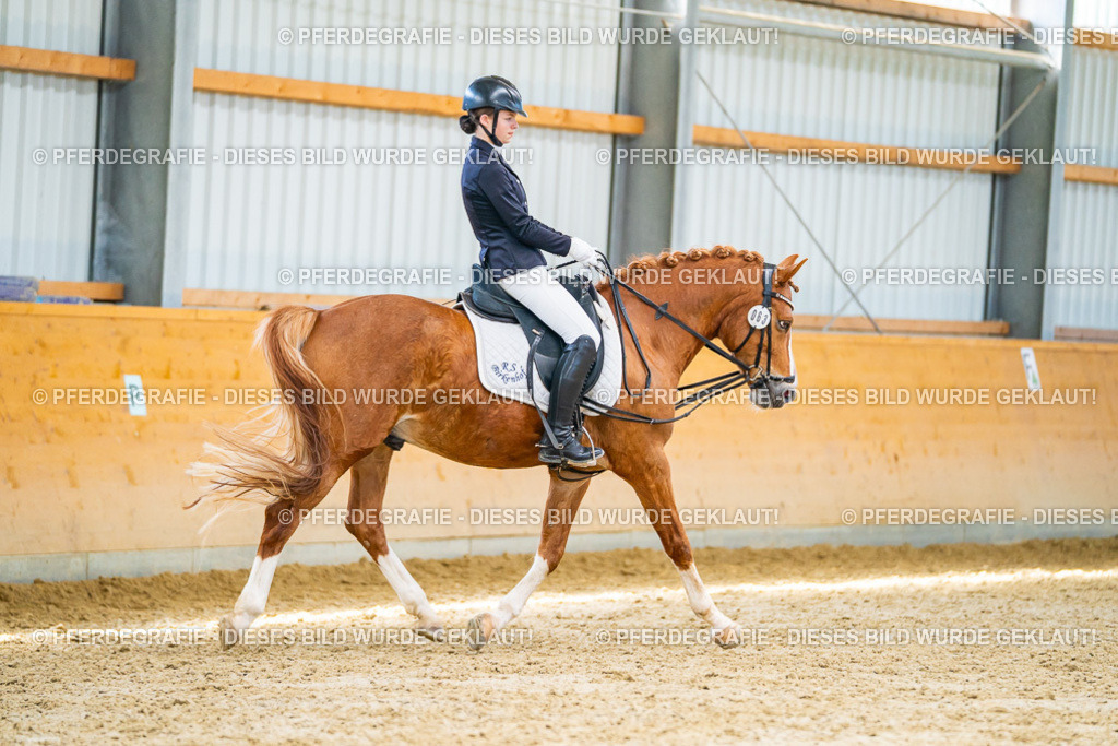 DSC08593 | Pferdegrafie