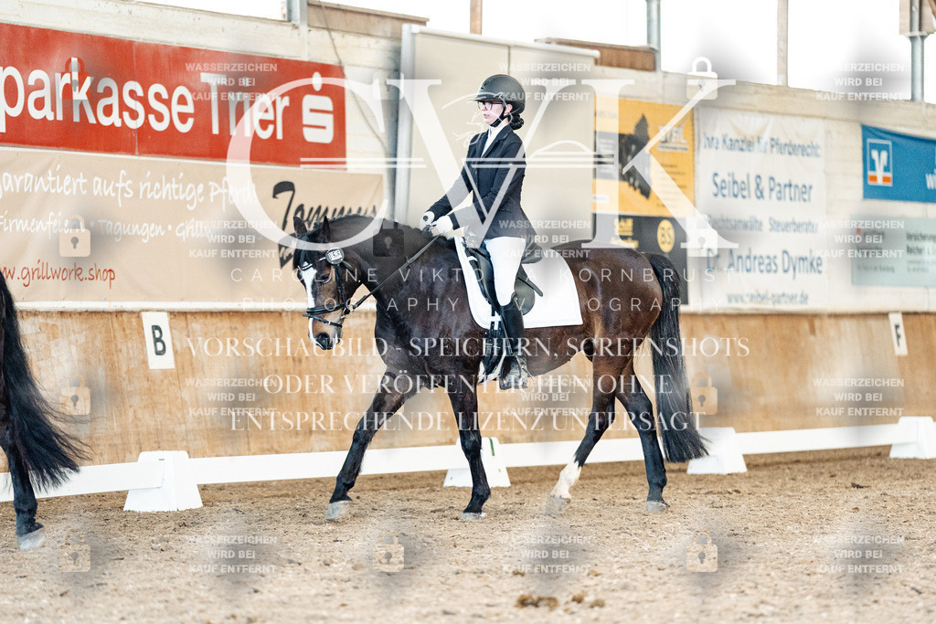 CK909806 | Turnierfotografie Pferdefotografie Trier Rheinland-Pfalz Pferdesport Reitsport Tierfotografie Sportfotografie Pferdevideo Pferdevideografie Equestrianvideography equestrianphotography  - Realisiert mit Pictrs.com