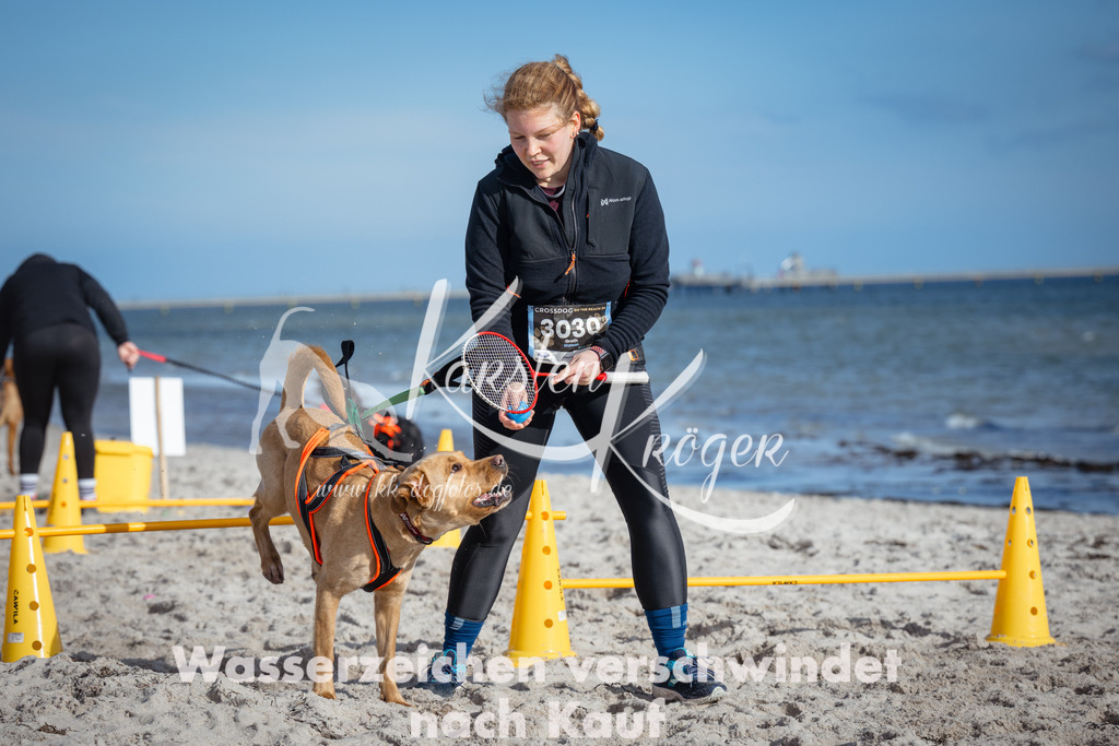 1335_ZZ92113 | kk-dogfotos