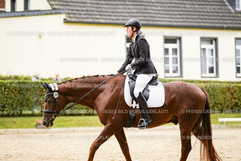 DSC08764 | Pferdegrafie