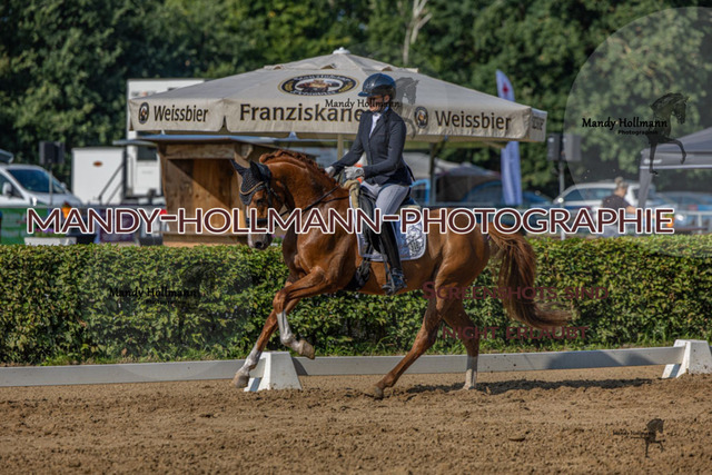 15.8.25 D1 RPF 3j (239 von 255) | mandyhollmannphotographie