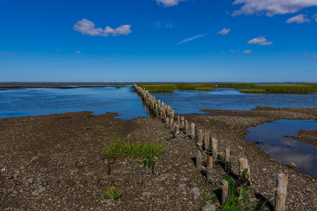 IMGP0441 | Nordseeinsel Mandö - Realisiert mit Pictrs.com