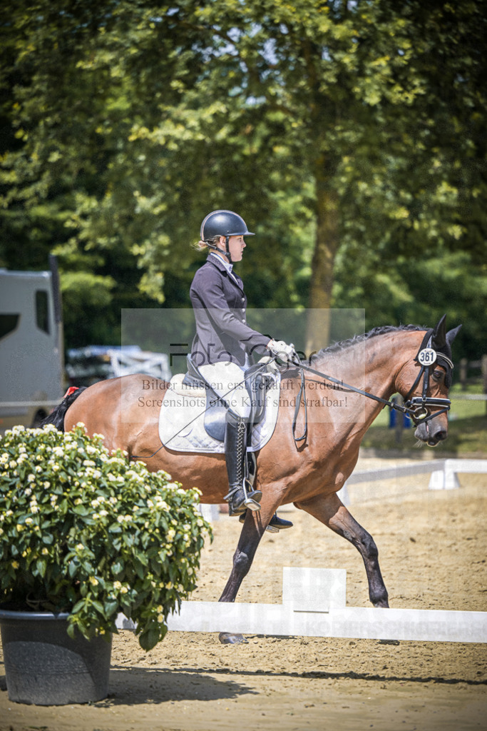 DOS_2613 | Entdecke hochwertige Reitturnierfotos von Foto Oger. Professionell, emotional und authentisch – jetzt Lieblingsmomente im Shop bestellen.Deutschlandweite Turnierfotografie. - Realisiert mit Pictrs.com