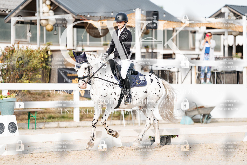 CK904430 | Turnierfotografie Pferdefotografie Trier Rheinland-Pfalz Pferdesport Reitsport Tierfotografie Sportfotografie Pferdevideo Pferdevideografie Equestrianvideography equestrianphotography  - Realisiert mit Pictrs.com