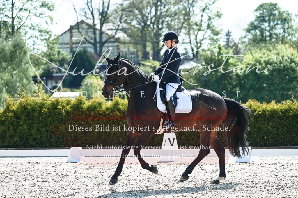 20230514_JK-Röhrsdorf-18-447 | Pferde- und Turnierfotografie in Westsachsen. Pferdeportraits, Auftragszeichnungen und intuitive Kunst.