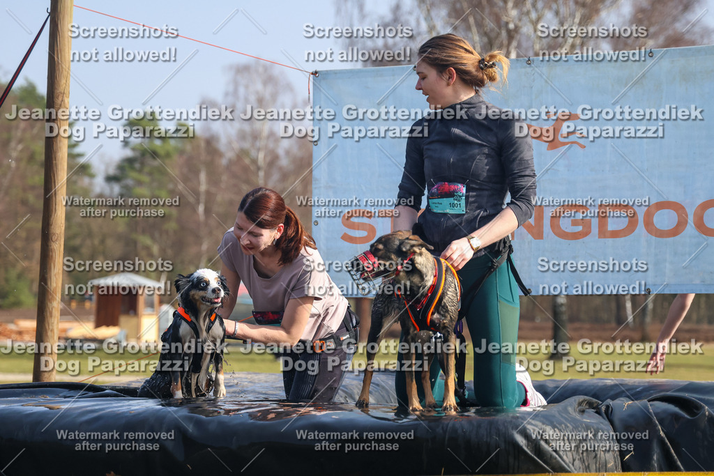 Dog Paparazzi - Strongdog North Mrz26-1900 | Dog Paparazzi Jeanette Grottendiek Fotografie & Videografie - Realisiert mit Pictrs.com
