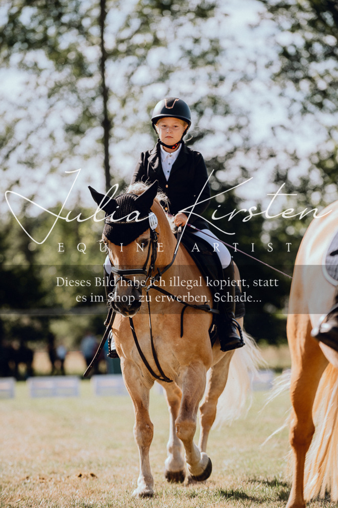 DSC_7057 | Pferde- und Turnierfotografie in Westsachsen. Pferdeportraits, Auftragszeichnungen und intuitive Kunst.