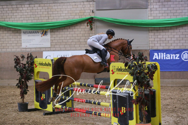 IMG_0640 | Turnierfotos kaufen im Webshop von Daniel Kuhl Photography – entdecke professionelle Reitsportfotos aus Turnieren & Events. Hochwertige Turnierbilder online bestellen & sichern. Jetzt Fotos von Reitsportturnieren kaufen!