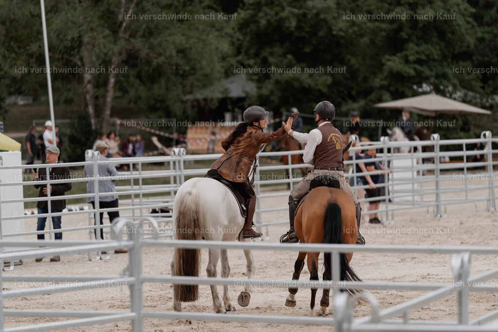 WE__Stoib_Rinder_PI2025_3016 | Pferd International München 2025